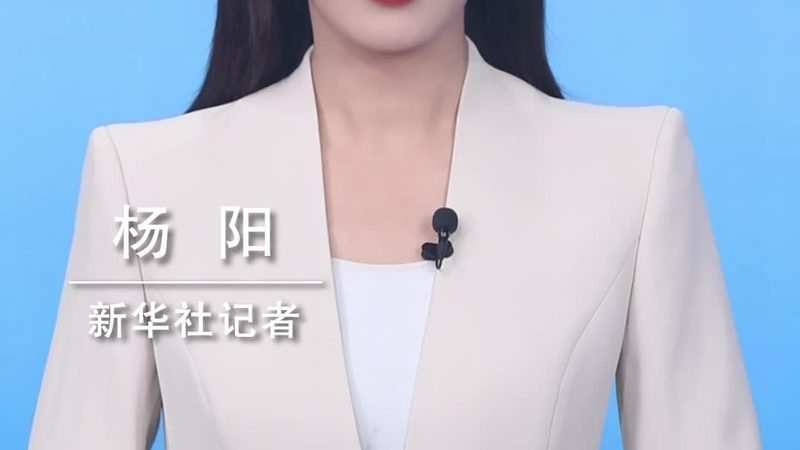 企业搜索解决方案：材质与架构分类解析**